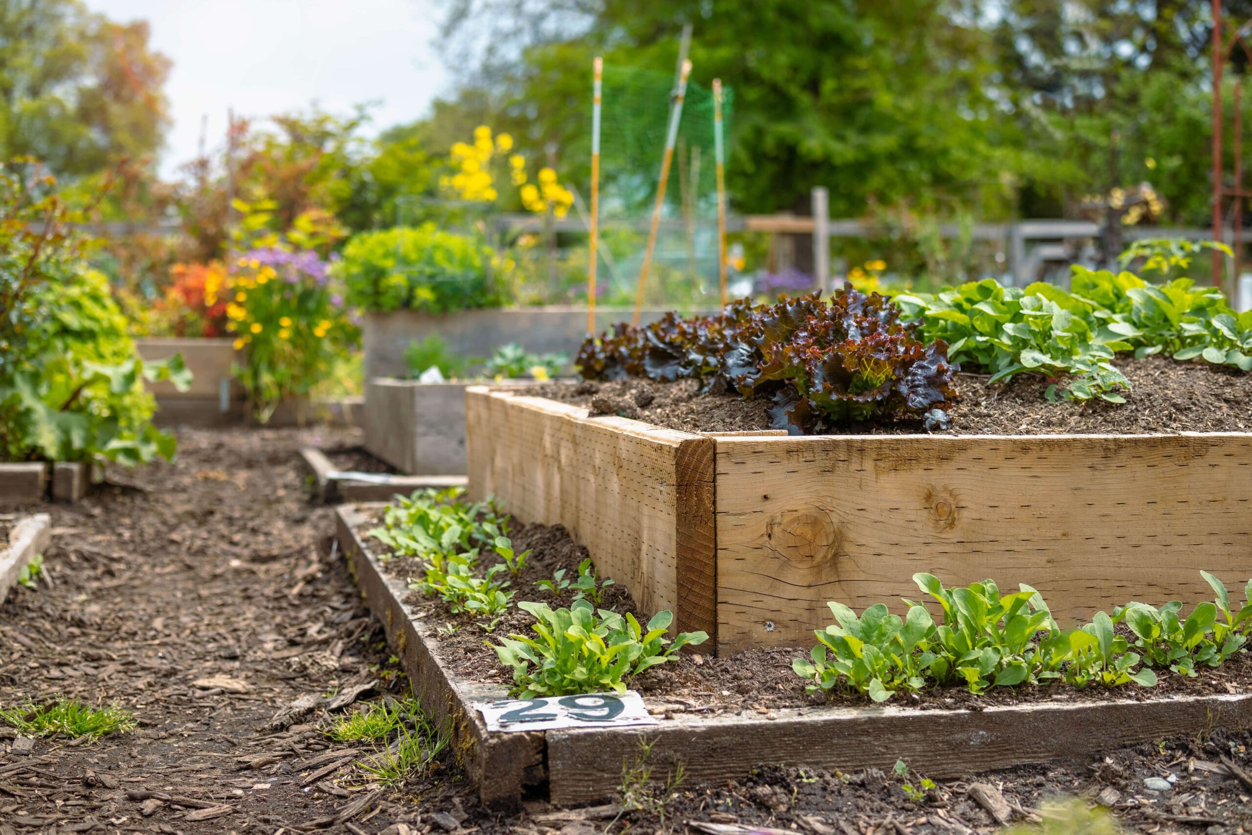 Legal Aspects of Community Garden Projects in HOAs