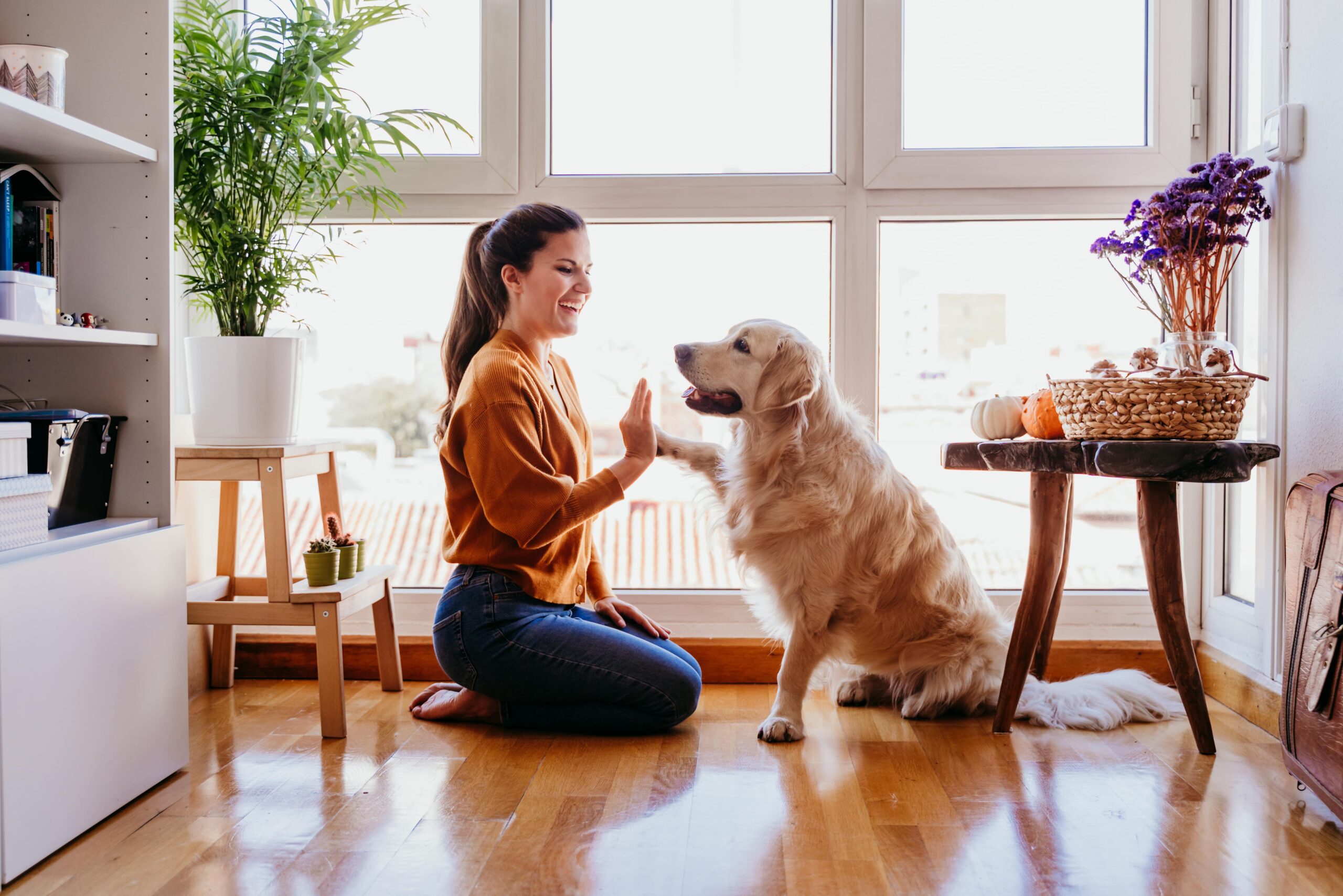 pets in condos law